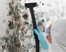 Best Comprehensive Air Testing for Mold Contaminants in Kennedale, TX